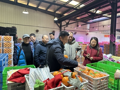 奉節(jié)臍橙產(chǎn)業(yè)協(xié)會(huì)赴沈陽(yáng)地利批發(fā)市場(chǎng)考察調(diào)研
