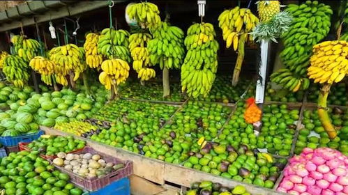 韓國(guó)農(nóng)副產(chǎn)品的價(jià)格現(xiàn)狀